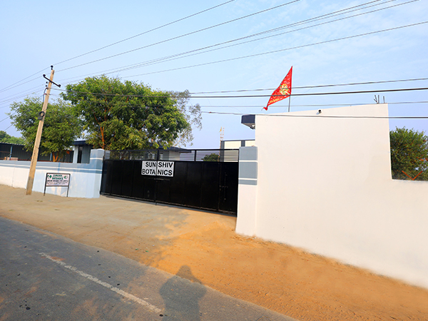 gallery-image-2