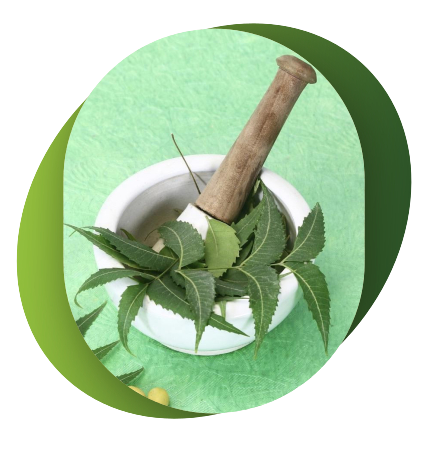 neem-oilp